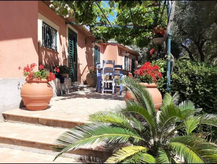 Villa Gemma Joppolo Екстер'єр фото